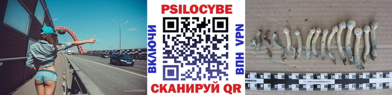 darknet наркотические препараты Каменск-Шахтинский Галлюциногенные грибы мицелий где продают