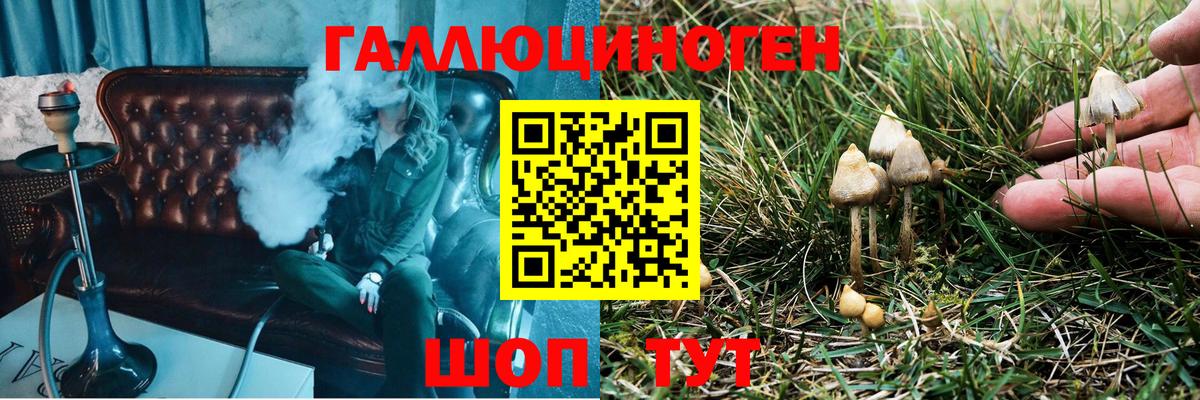 Галлюциногенные грибы Psilocybine cubensis Каменск-Шахтинский