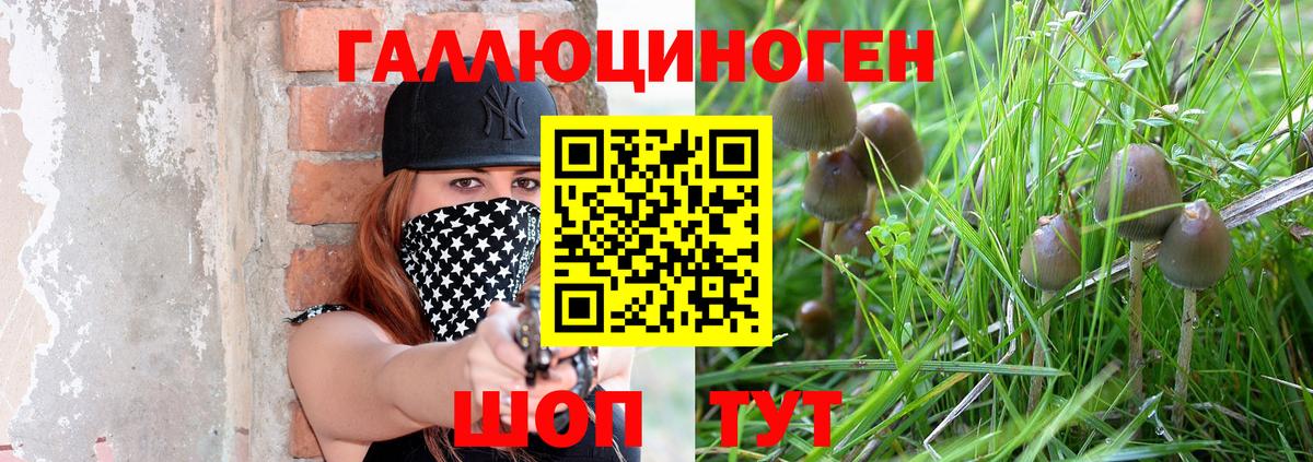 Псилоцибиновые грибы прущие грибы  Псилоцибиновые грибы Psilocybe  сколько стоит  Каменск-Шахтинский 