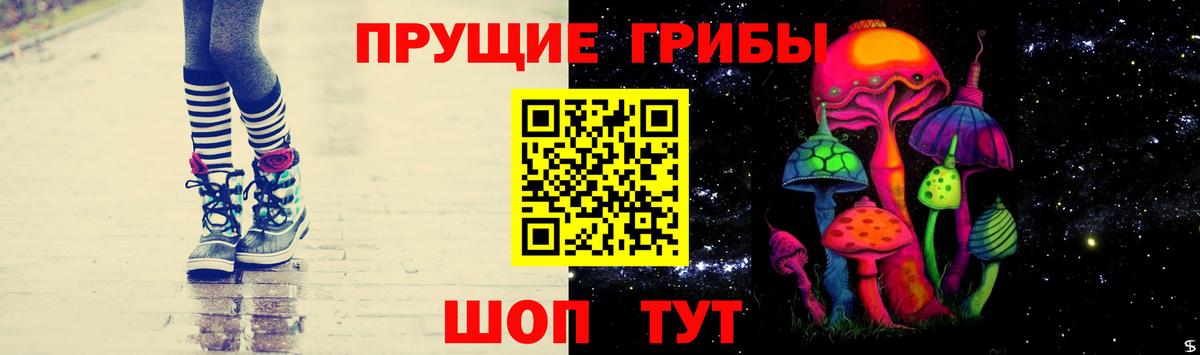 наркота  Галлюциногенные грибы Psilocybine cubensis  Вход с VPN  Каменск-Шахтинский 