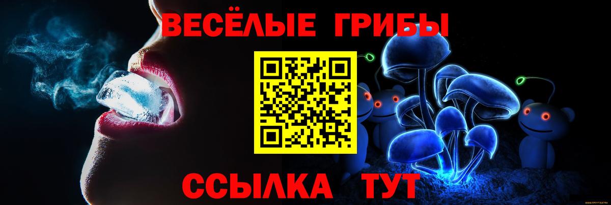 Псилоцибиновые грибы Psilocybe Каменск-Шахтинский